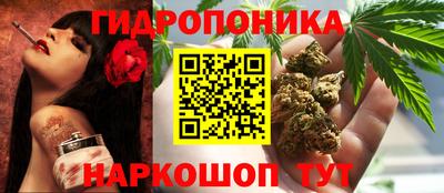 дживик Гусь-Хрустальный